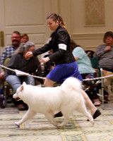 SCA2023_B WORKING-5906