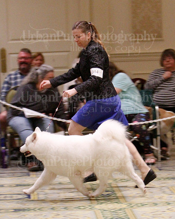SCA2023_B WORKING-5906