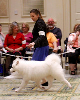 SCA2023_B WORKING-5908