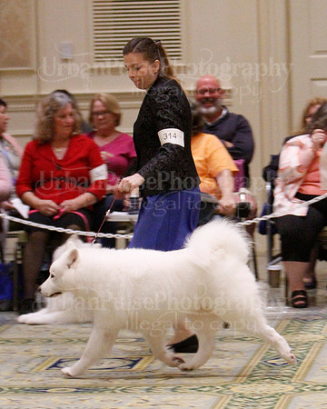 SCA2023_B WORKING-5908