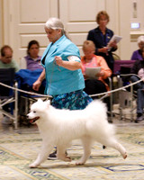 SCA2023_B WORKING-5909