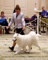 SCA2023_B WORKING-5917