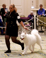 SCA2023_B WORKING-5932