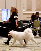 SCA2023_B WORKING-5937
