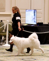 SCA2023_B WORKING-5938