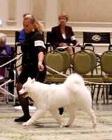 SCA2023_B WORKING-5940