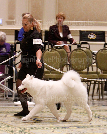 SCA2023_B WORKING-5940