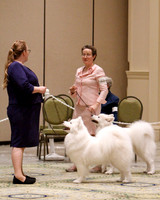 SCA2023_B WORKING-5946