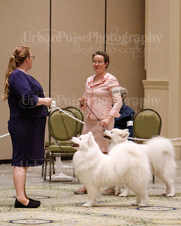 SCA2023_B WORKING-5946
