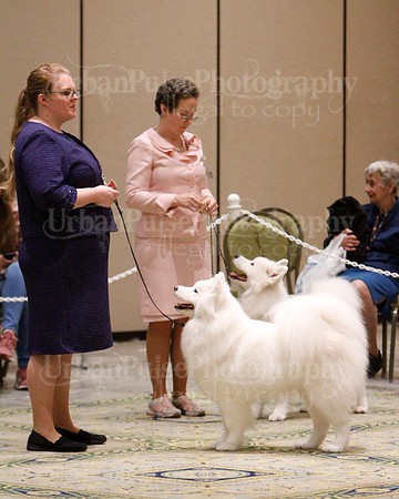SCA2023_B WORKING-5949