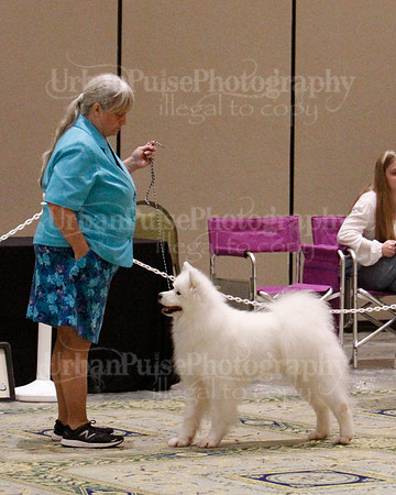 SCA2023_B WORKING-5966
