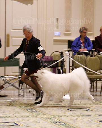 SCA2023_B WORKING-5974