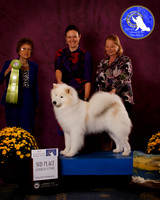 SCA2023_B_AWARD_6151_20