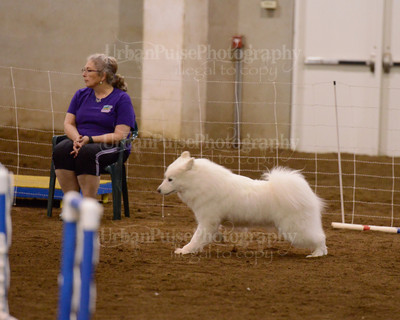 SCA2016_AG MON FAST NOVICE-3521