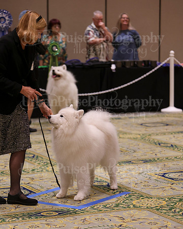 SCA2023_BOB GRP D6-1429