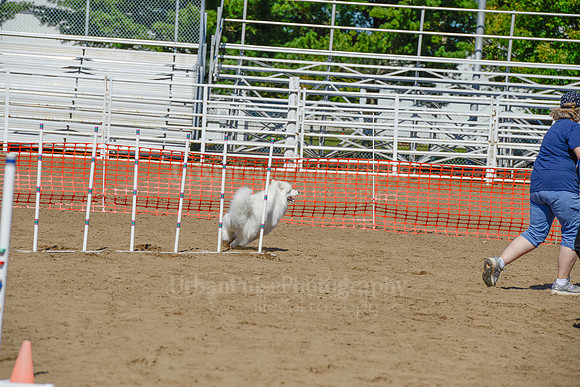 AGILITY-2400