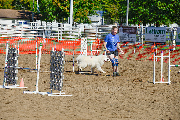 AGILITY-2031