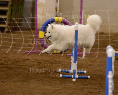 SCA2016_AG MON FAST NOVICE-3539