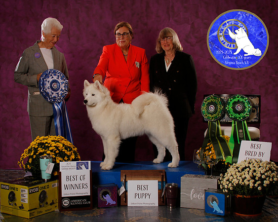 SCA2023_BOB_AWARD_6387_70