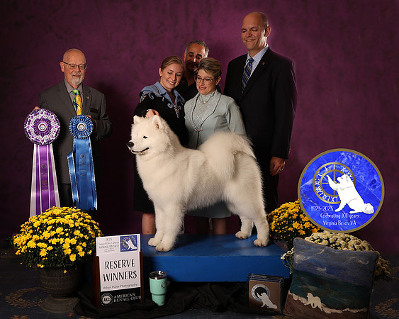 SCA2023_D_AWARD_4648_110