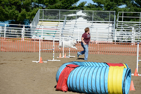 AGILITY-2001