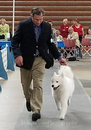 Elsa & Phillip