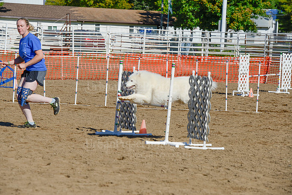 AGILITY-2033