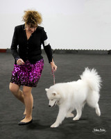 MASC MOVEMENT-3232_40