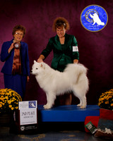 SCA2023_B_AWARD_6080_100