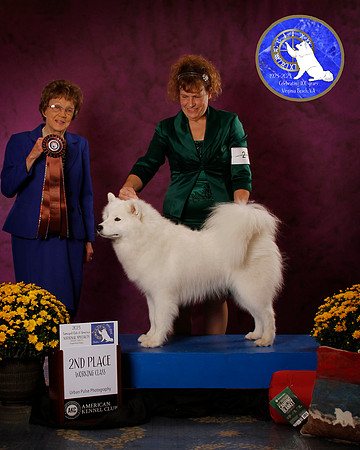 SCA2023_B_AWARD_6080_100