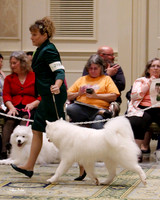 SCA2023_B WORKING-5891_80