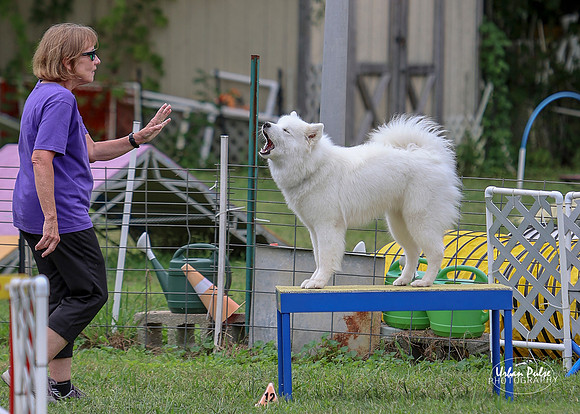 AGILITY-2796_5x7