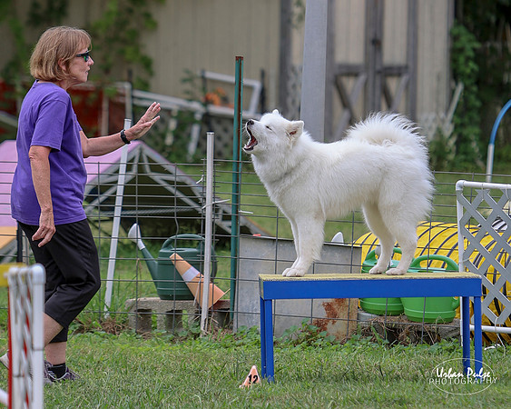 AGILITY-2796_8x10