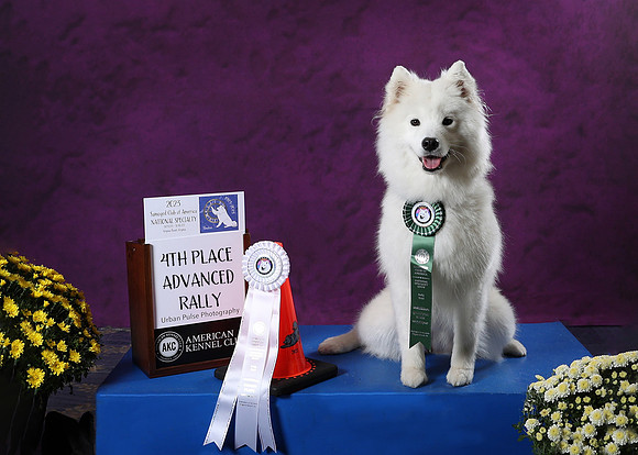 AWARD-2950_5x7