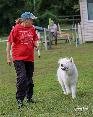 AGILITY-2116_10