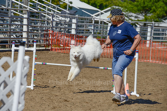 AGILITY-2285