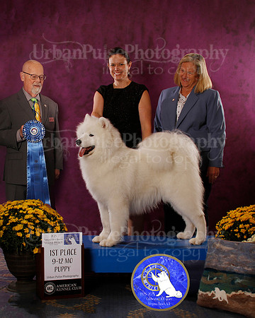 SCA2023_D_AWARD_6496