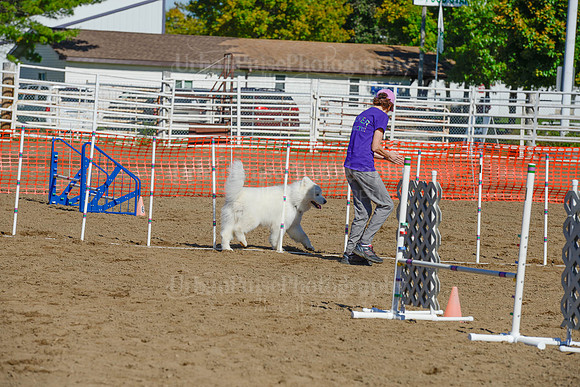 AGILITY-2192