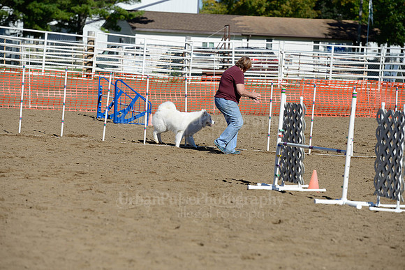 AGILITY-2003