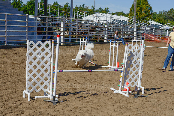 AGILITY-2381