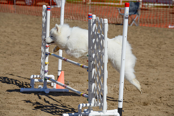 AGILITY-2273