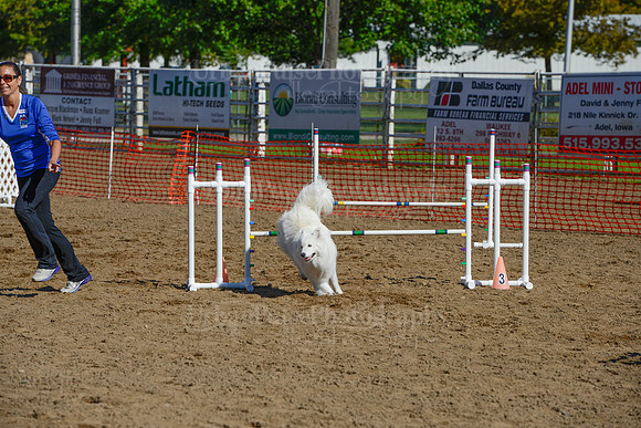 AGILITY-2145