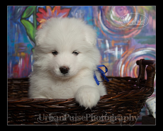 MaterxMaya5.5wks-8695