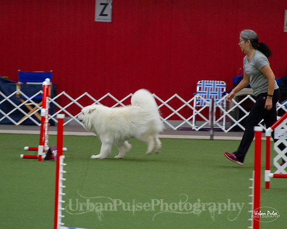 AGILITY_9431