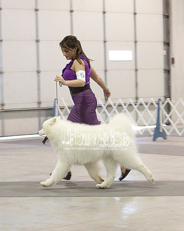 Fargo_2011-4252