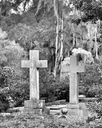 Savannah_9853