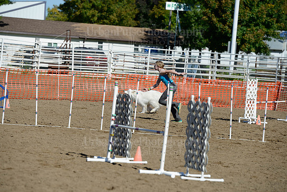 AGILITY-1928