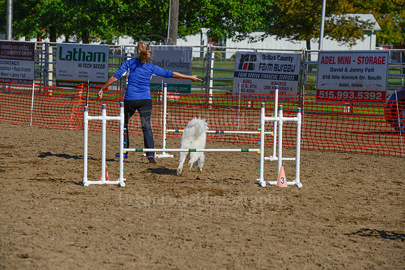 AGILITY-2126
