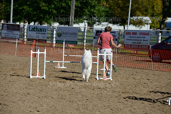 AGILITY-1959