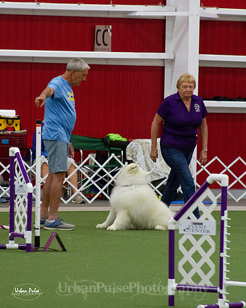 AGILITY_9498